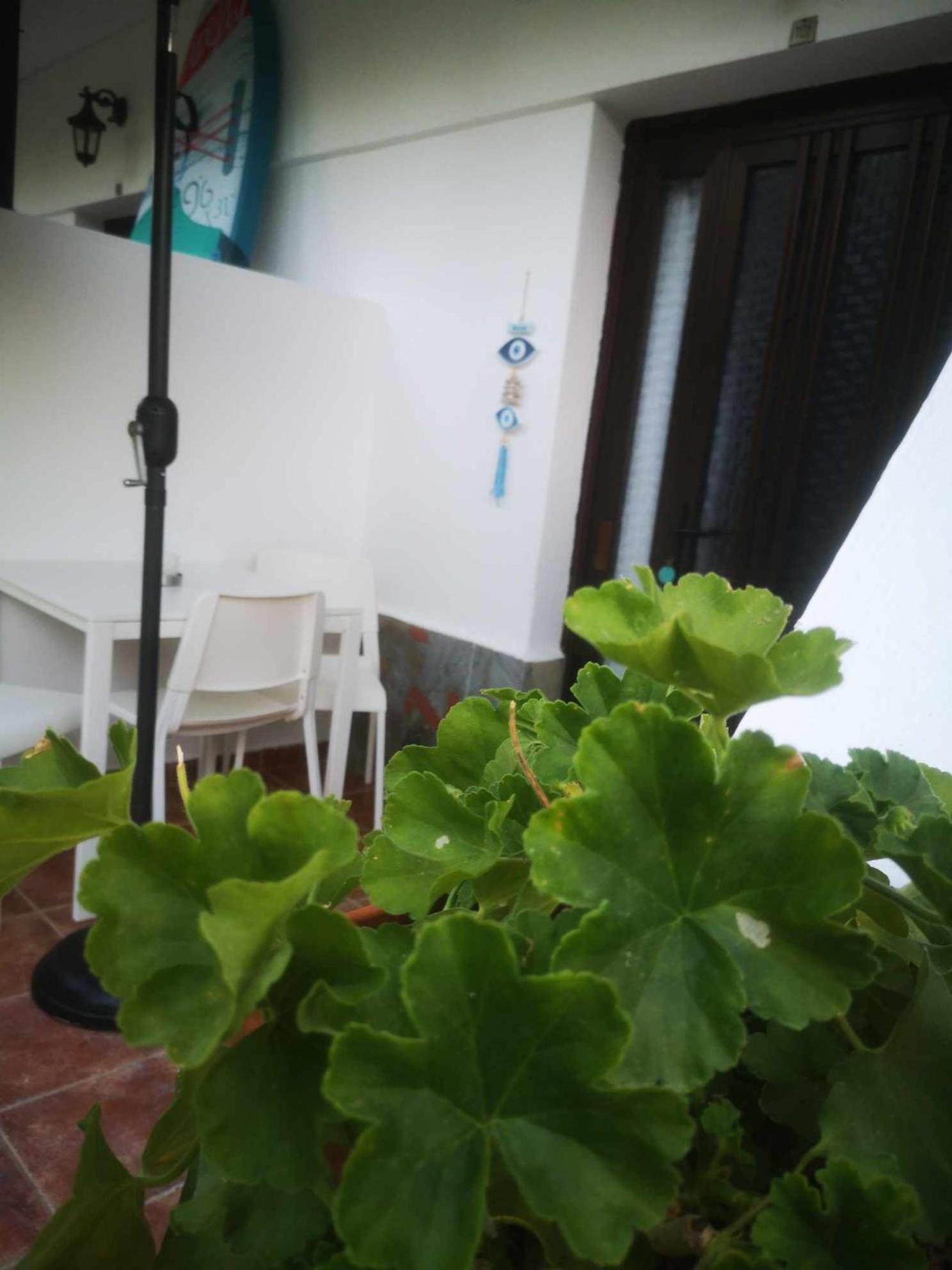 Achillion B&B Paralía Skotínis Extérieur photo